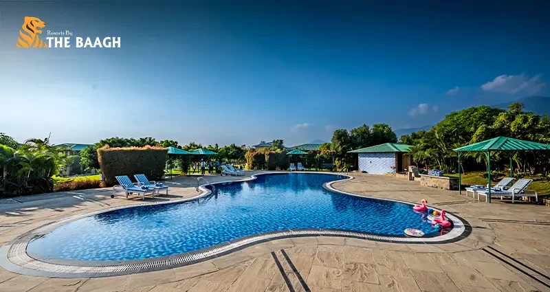 Why a Luxury Jungle Stay in Jim Corbett Is the Perfect Digital Detox