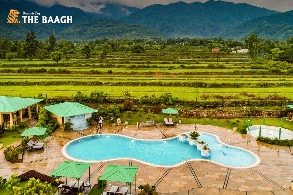 Top Resorts in Corbett Near Jungle Safari Zones: Location-Wise Stay Guide