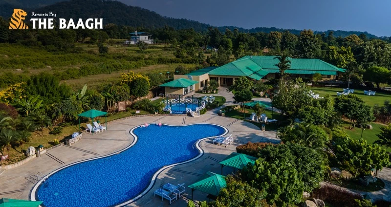 Reconnect With Nature: 5-Star Resorts In Jim Corbett's Serenity