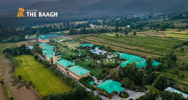 A Summer of Serenity: Stay at the Best Resort in Corbett for a Cool Forest Getaway