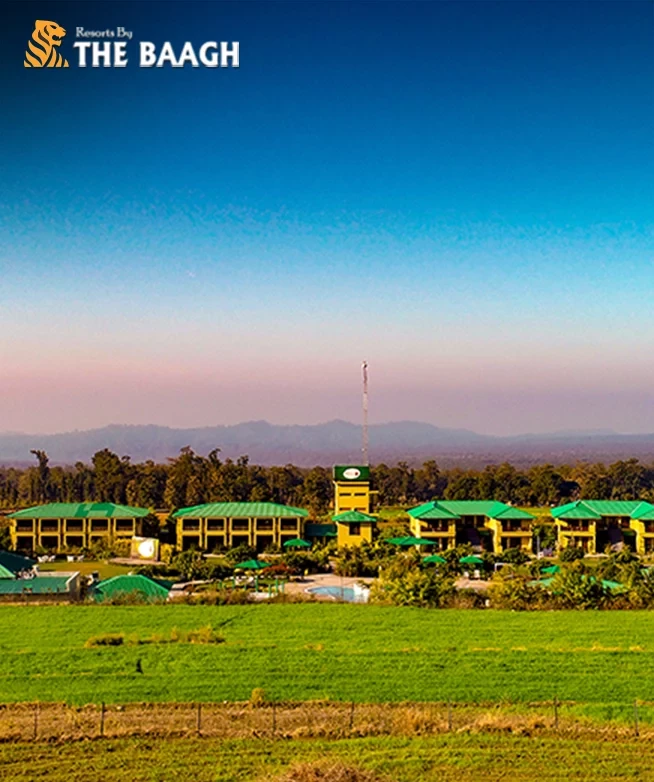 The Science of Colour and Nature: Himalayan Flora for Eco-Friendly Holi at Resorts by the Baagh