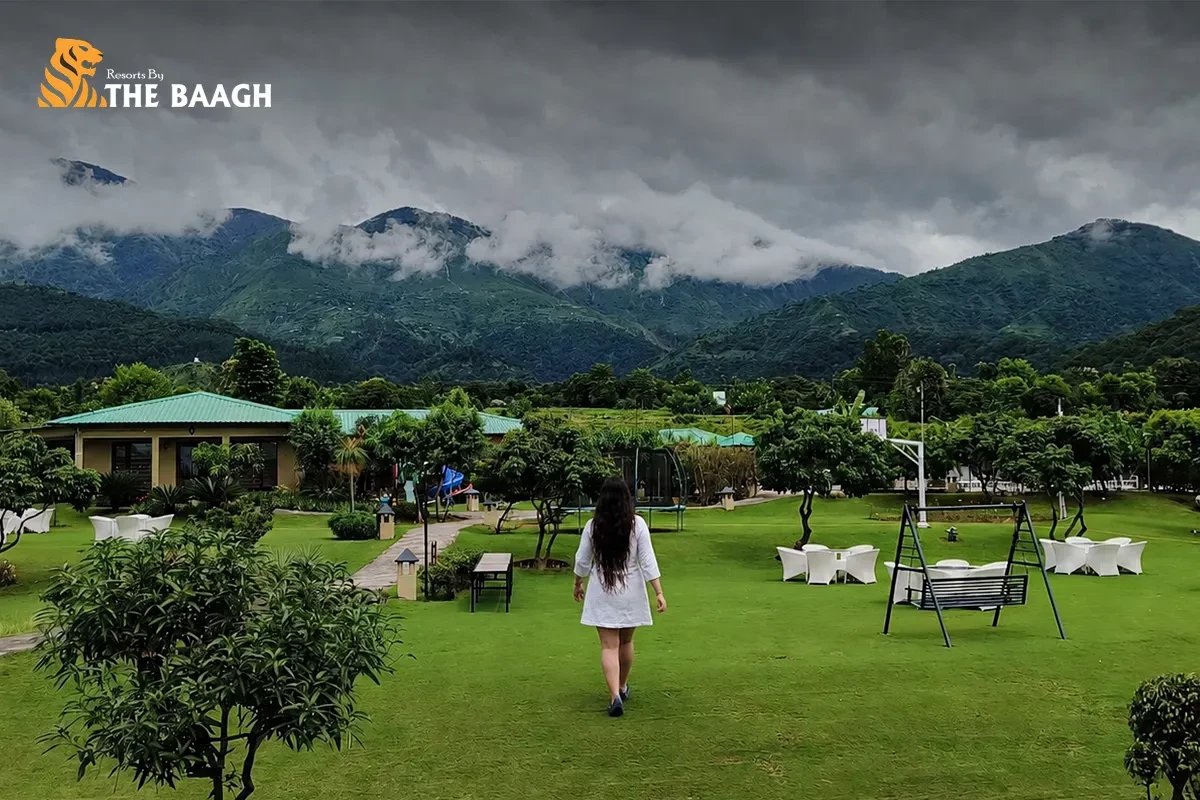 Best Hotels in Jim Corbett for Bird Watching and Nature Walks