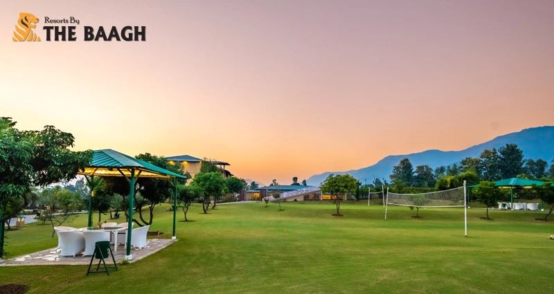 Riverfront Luxury: Top Resorts In Jim Corbett For Nature Enthusiasts