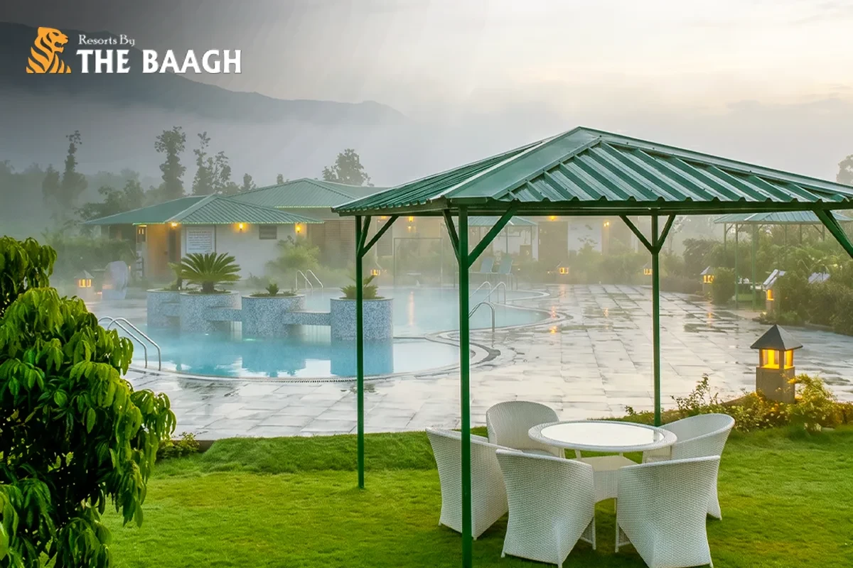 Jim Corbett in the Monsoon: Which Resorts Stay Open and What to Expect