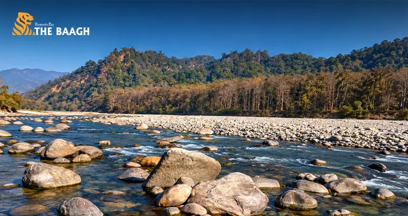A Luxury Winter Escape to Jim Corbett: What to Expect from November to February