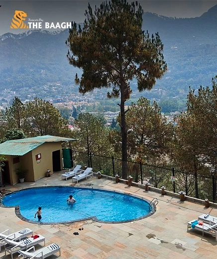 Digital Detox in Bhimtal: What Happens When You Put Your Phone Down for 48 Hours