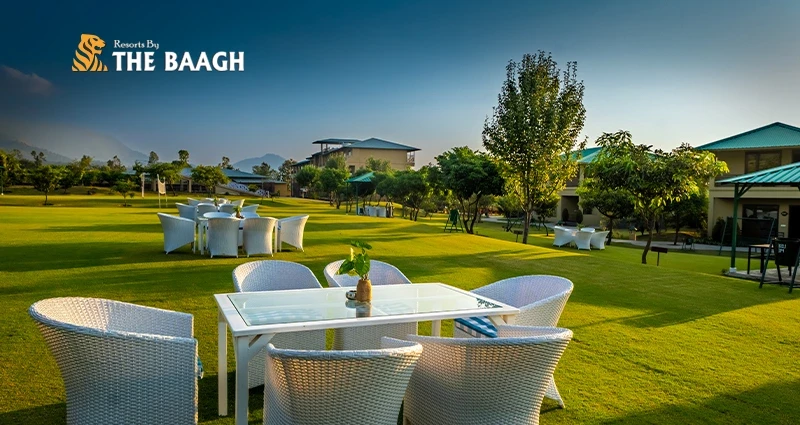 Adventure Meets Comfort: Why Resorts in Jim Corbett Are Perfect for Nature Enthusiasts