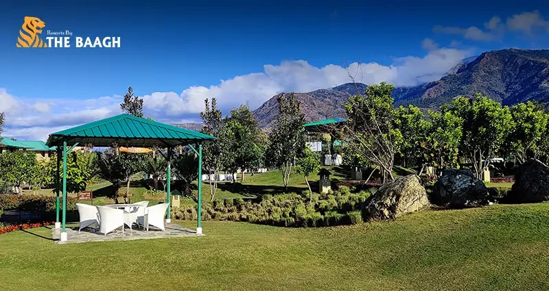 Weekend Getaway Guide: Why Jim Corbett is the Perfect Holiday Destination