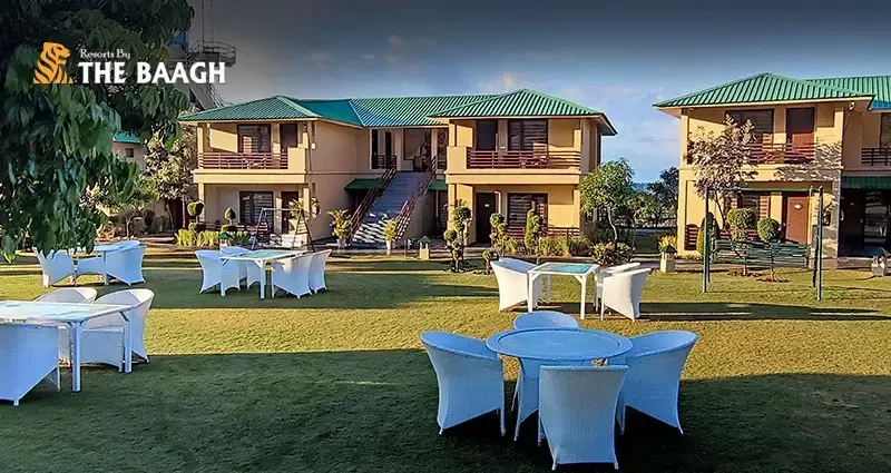 Why Choose a 5-Star Resort in Jim Corbett During Peak Winter Season?