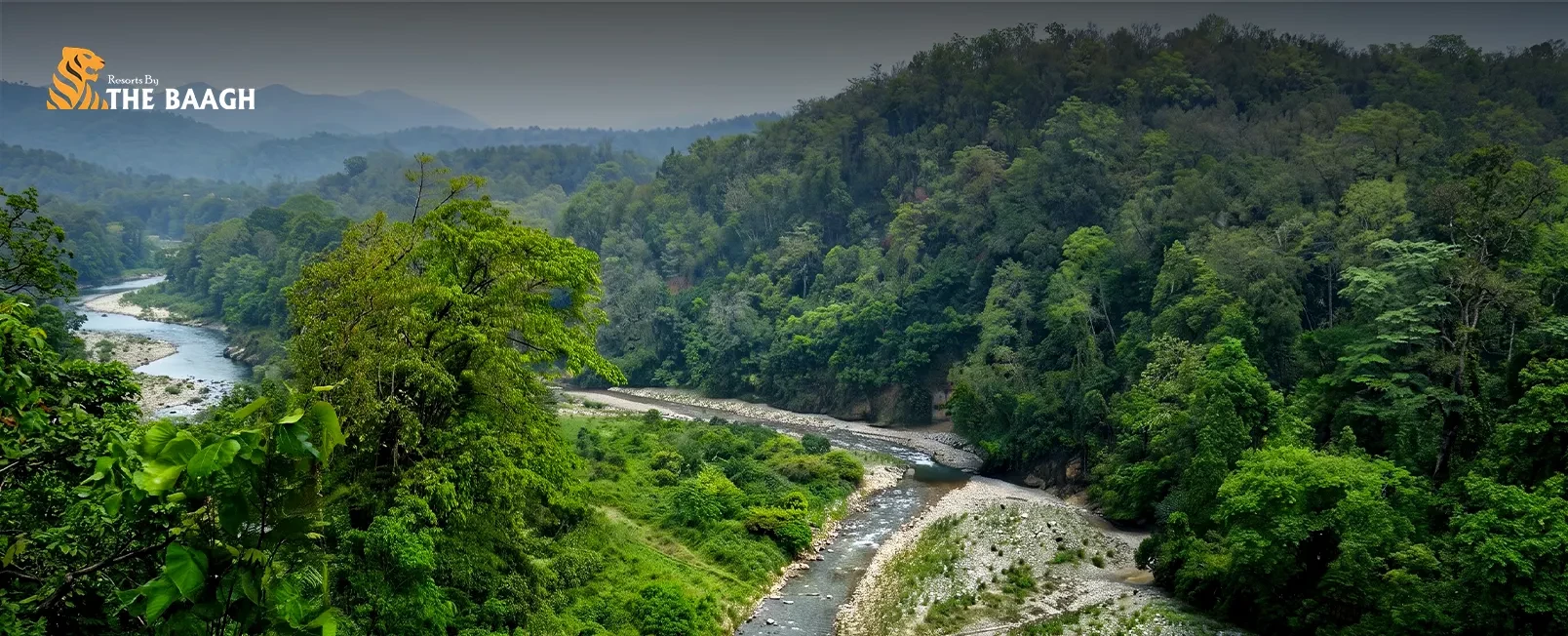 How to Experience Jim Corbett Beyond the Safari: Forest Walks, Wildlife & Slow Travel