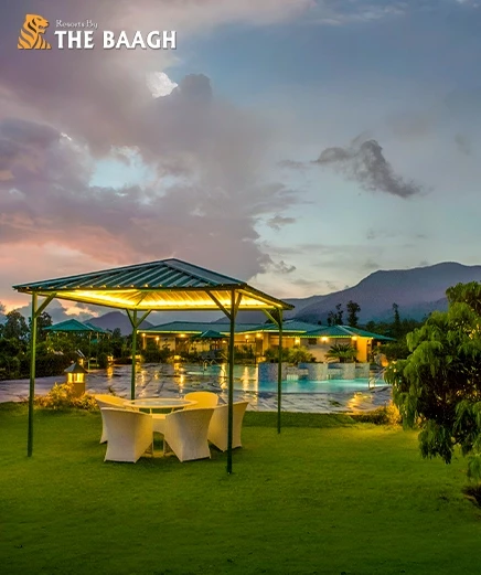 Beyond the Tiger: Why Jim Corbett Is Now North India's Favourite Weekend Detox Destination