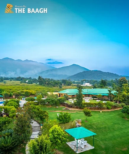What to Pack for a Jim Corbett Jungle Safari: The Complete Checklist for Luxury Travellers