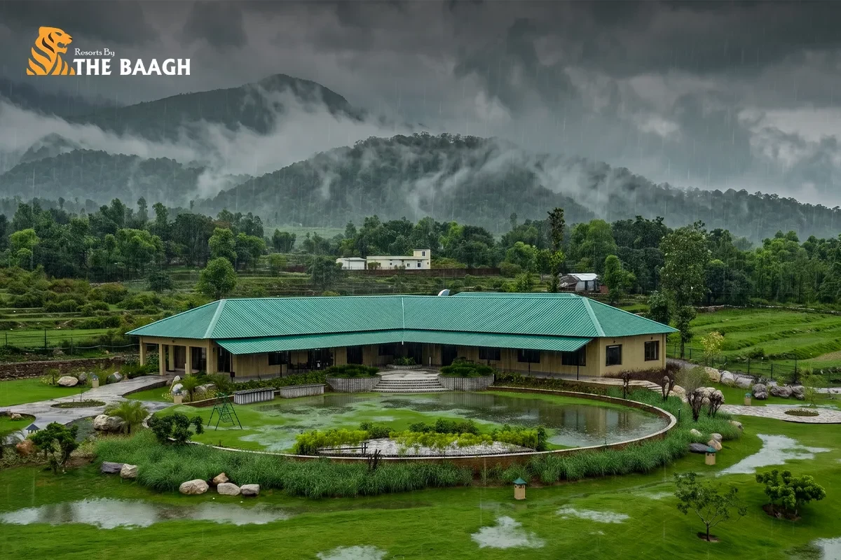 Top 6 Monsoon Activities at a Jim Corbett Luxury Resort When the Park Is Closed