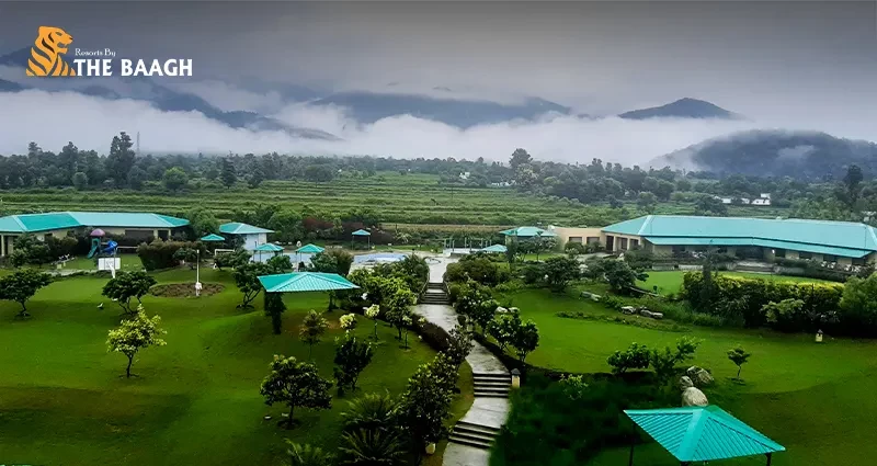 Best Jim Corbett Resorts with Swimming Pool, Spa, and Adventure Activities