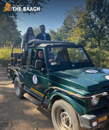 Canter vs. Jeep Safari in Jim Corbett: Which One Should You Book from Your Resort?