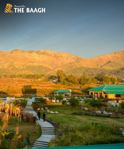Nature, Comfort, and Celebrations: Why Resorts By The Baagh is the Ideal Luxury Resort in Jim Corbett