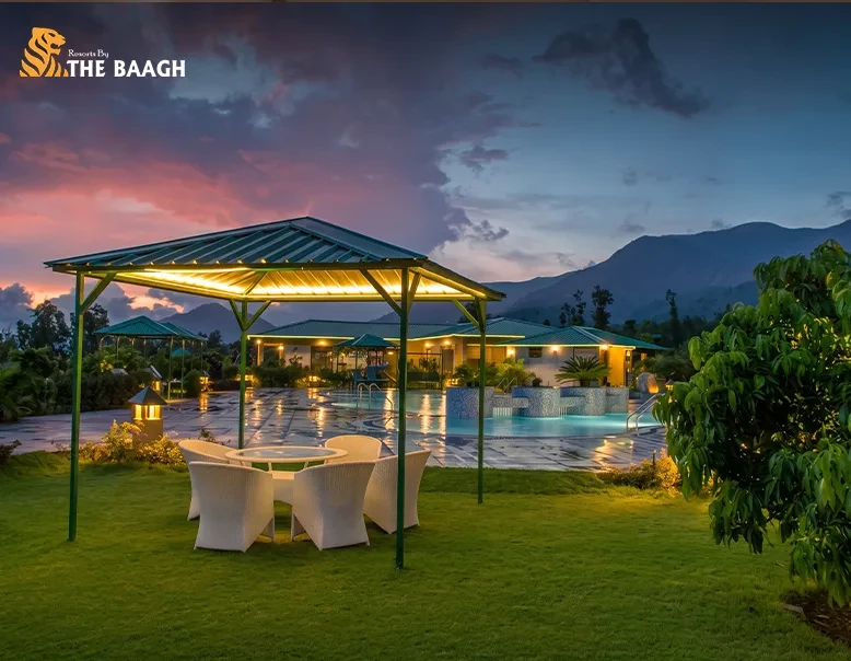 Jim Corbett Travel Guide for First-Time Visitors: Where to Stay and What to Do