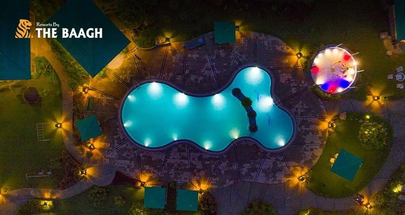 Roar Into the New Year: Celebrating at Jim Corbett's Top Resorts