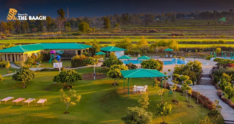 Experience Wilderness in Style: Top Luxury Resorts in Jim Corbett