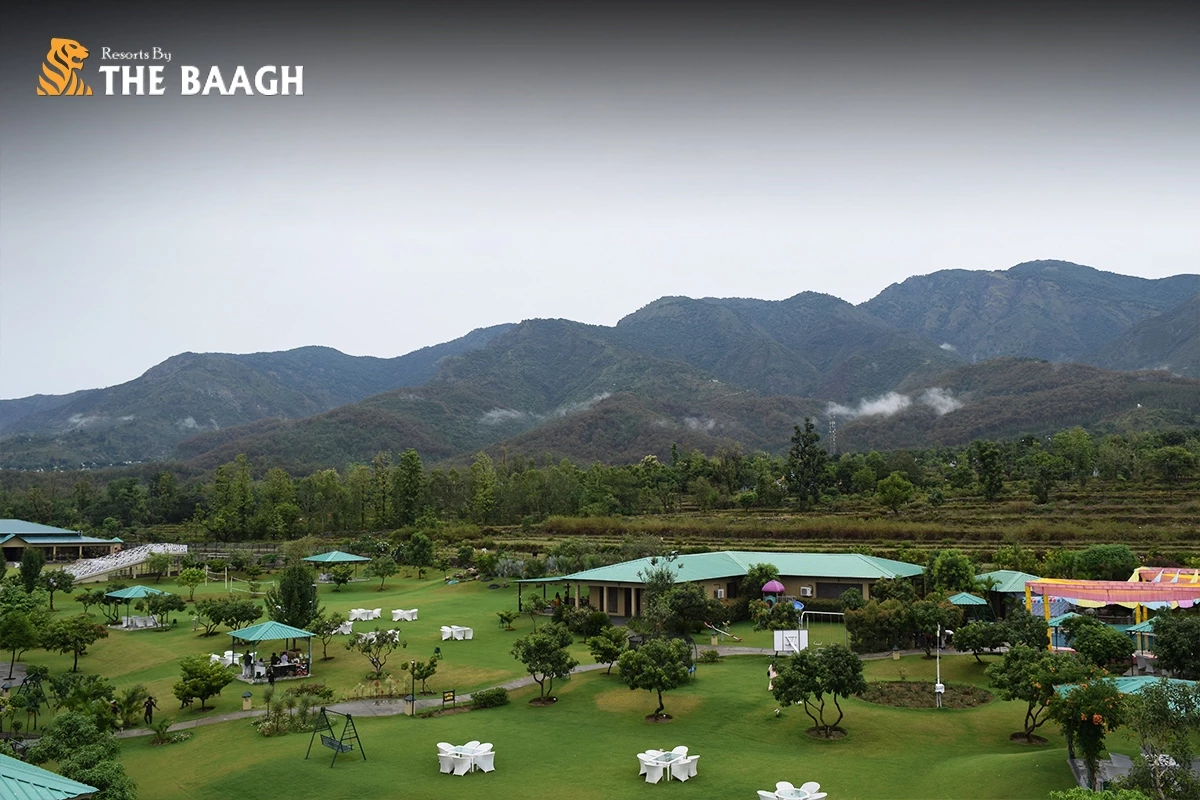 Discover Luxury in the Wild: Why Resorts By The Baagh Jim Corbett Tops the List of Hotels in Jim Corbett