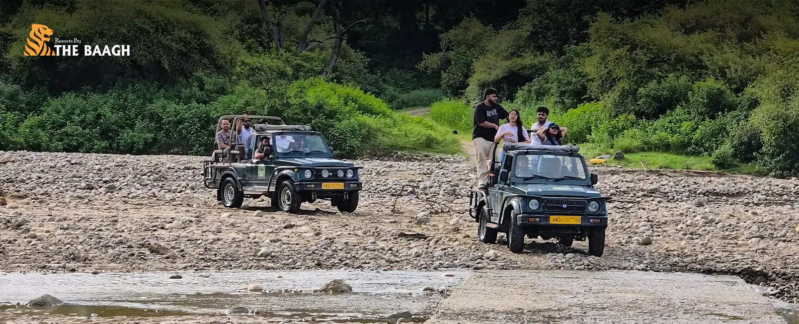 Jim Corbett Safari Booking Guide: Permits, Timings & What to Expect