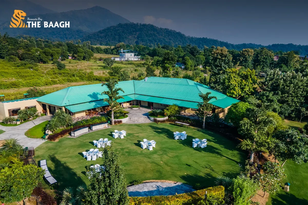 Complete Travel Guide to Staying in Jim Corbett Resorts