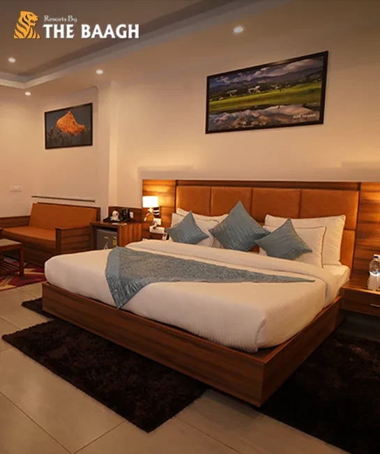 How to Choose the Best Jim Corbett National Park Package: Safari, Stay & Add-Ons Explained