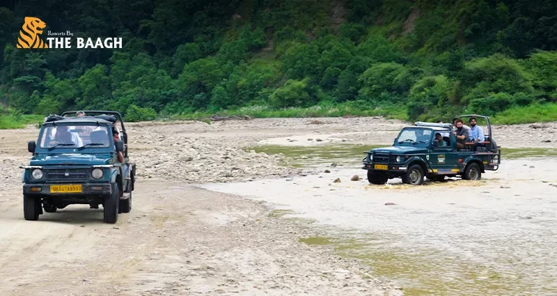 Planning a Family Trip to Jim Corbett: How to Combine Safari, Nature & Resort Comfort