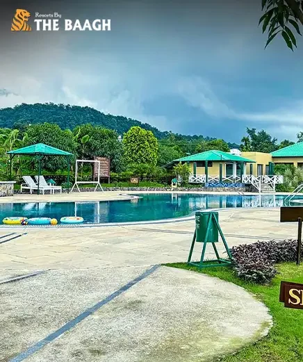 Experience the Wild in Style: A Complete Guide to Luxury Resorts in Jim Corbett