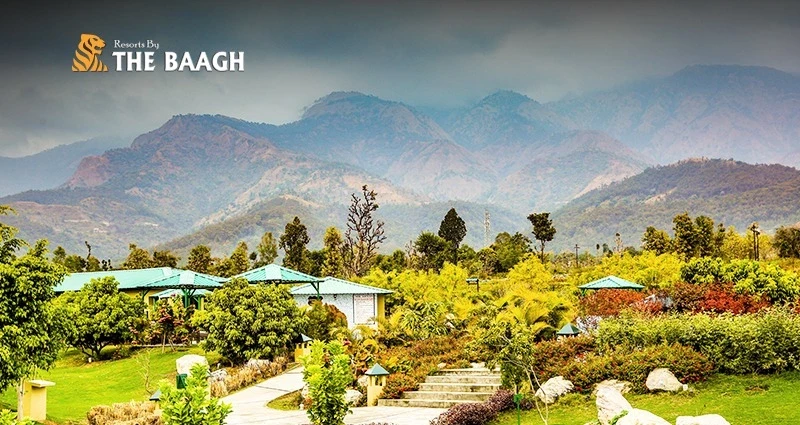 Top Activities to Enjoy During Your Stay at Resorts By The Baagh in Jim Corbett