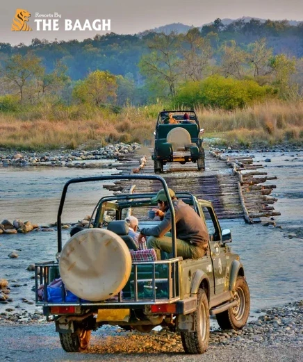 Luxury Jungle Resorts in Jim Corbett for an Unforgettable Safari Experience