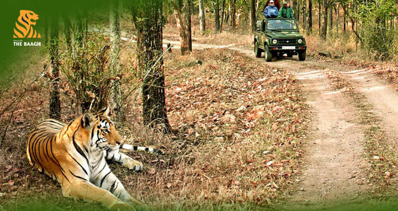 An Exciting Road Trip From Delhi To Jim Corbett – Things To Keep In Mind!