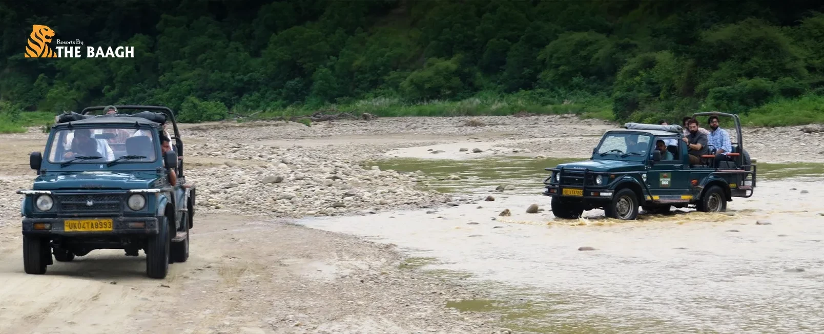 Which Corbett Safari Zone Should You Book? Dhikala vs Bijrani vs Jhirna vs Dhela vs Garjiya