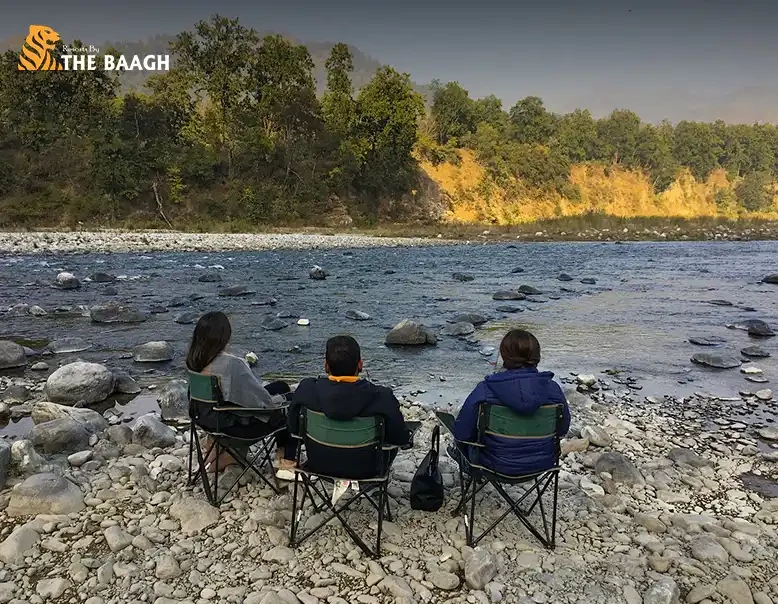 Should You Visit Jim Corbett or Bhimtal First on Your First Uttarakhand Trip?