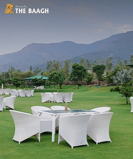 Why Staying at a Jim Corbett Resort is a Must for Nature Lovers