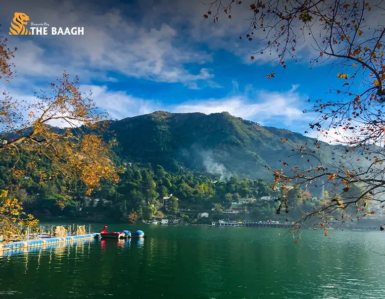 Kainchi Dham: The History Behind the Ashram, and Why It Draws the World to a Kumaon Hillside