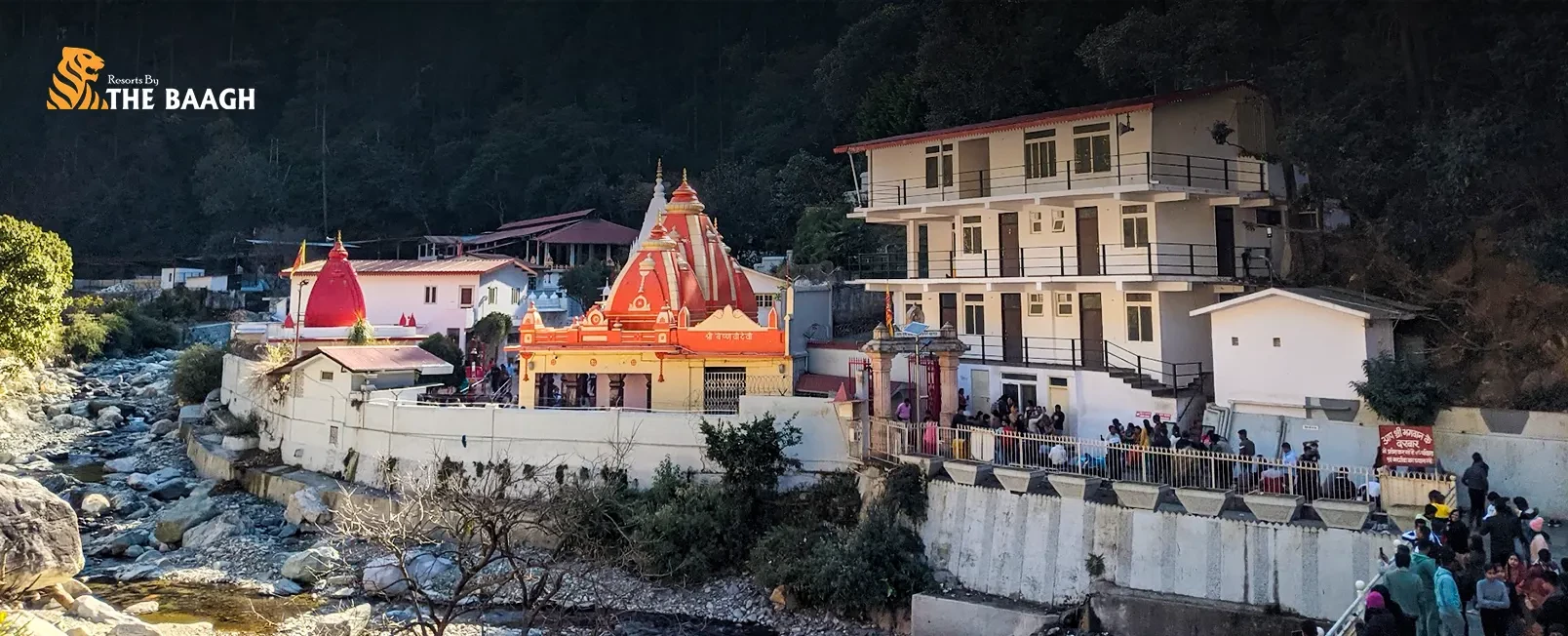 Kainchi Dham: The History Behind the Ashram, and Why It Draws the World to a Kumaon Hillside