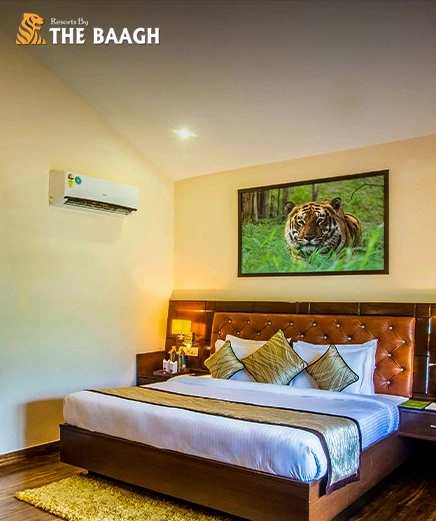 Wake Up to the Wild: What a Typical Morning Looks Like at a Luxury Jim Corbett Resort