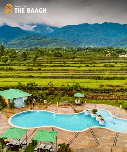 What Makes a Luxury Resort in Jim Corbett Truly Exceptional in 2026