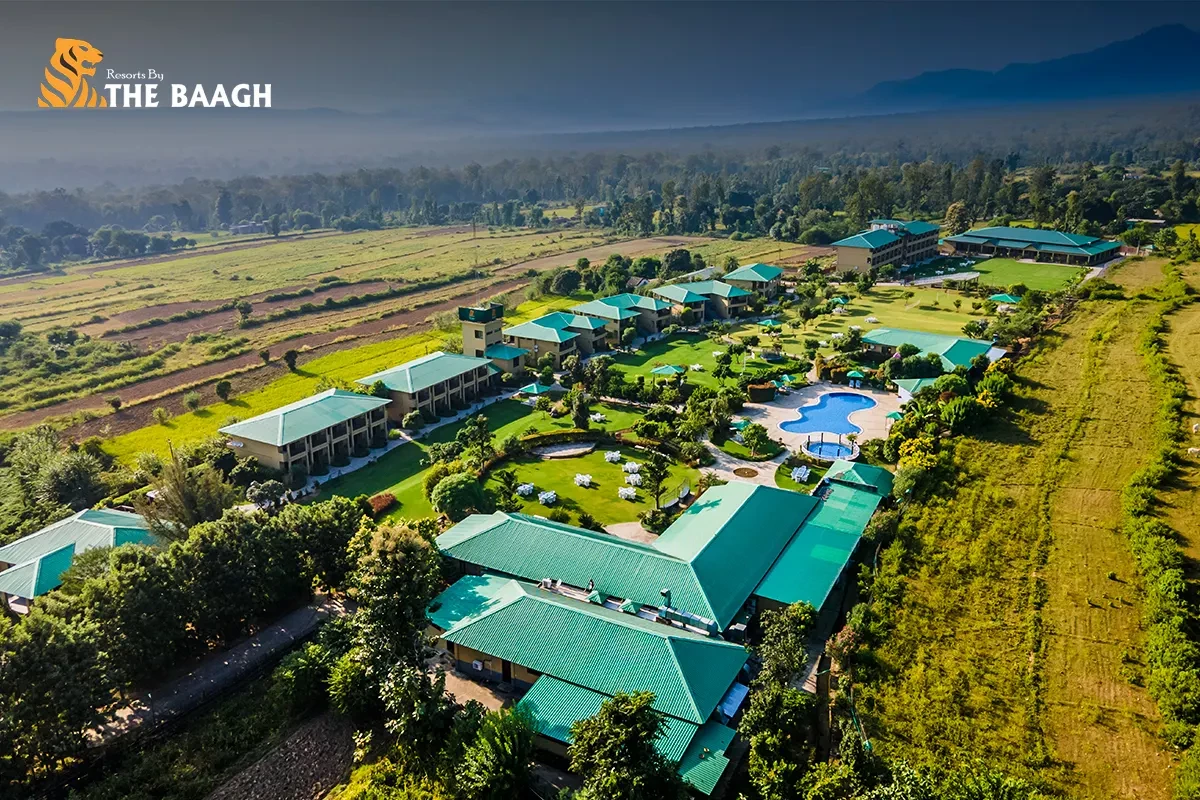 Planning a Long Weekend? Here's Why Jim Corbett Should Be Your First Choice