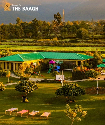 Luxury Cottages Near Jim Corbett National Park: What to Expect & Why They’re Worth It