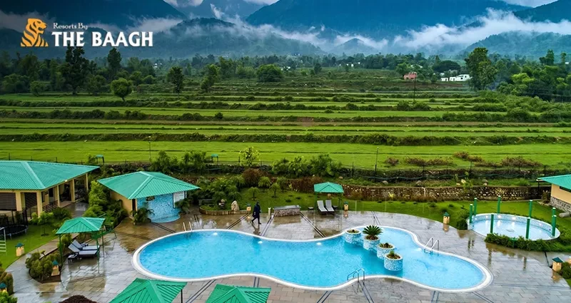 Jim Corbett in the Monsoon: Which Resorts Stay Open and What to Expect