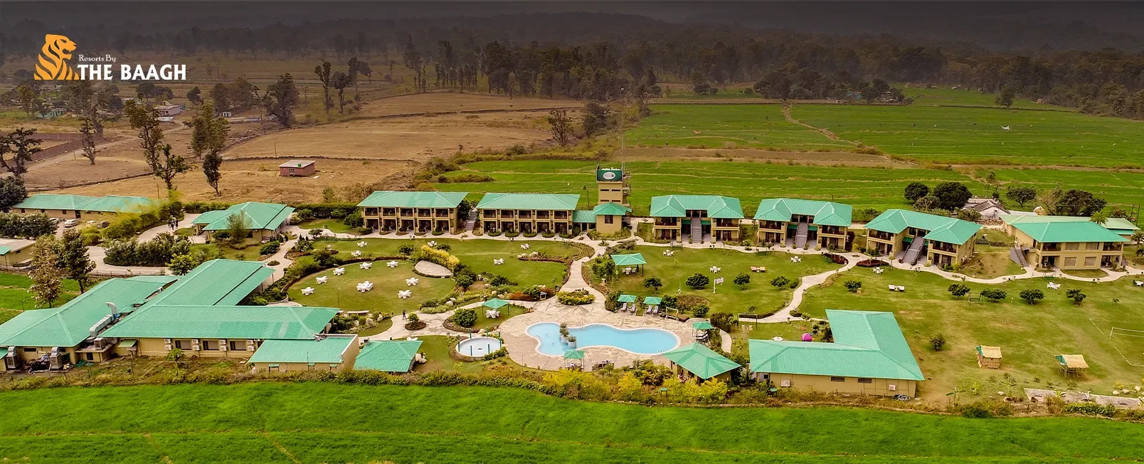 Jim Corbett Jungle Safari Etiquette: Dos and Don'ts for First-Time Visitors