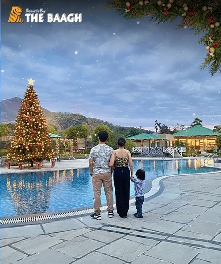 Your Perfect Christmas Gift: A Family Holiday in Jim Corbett