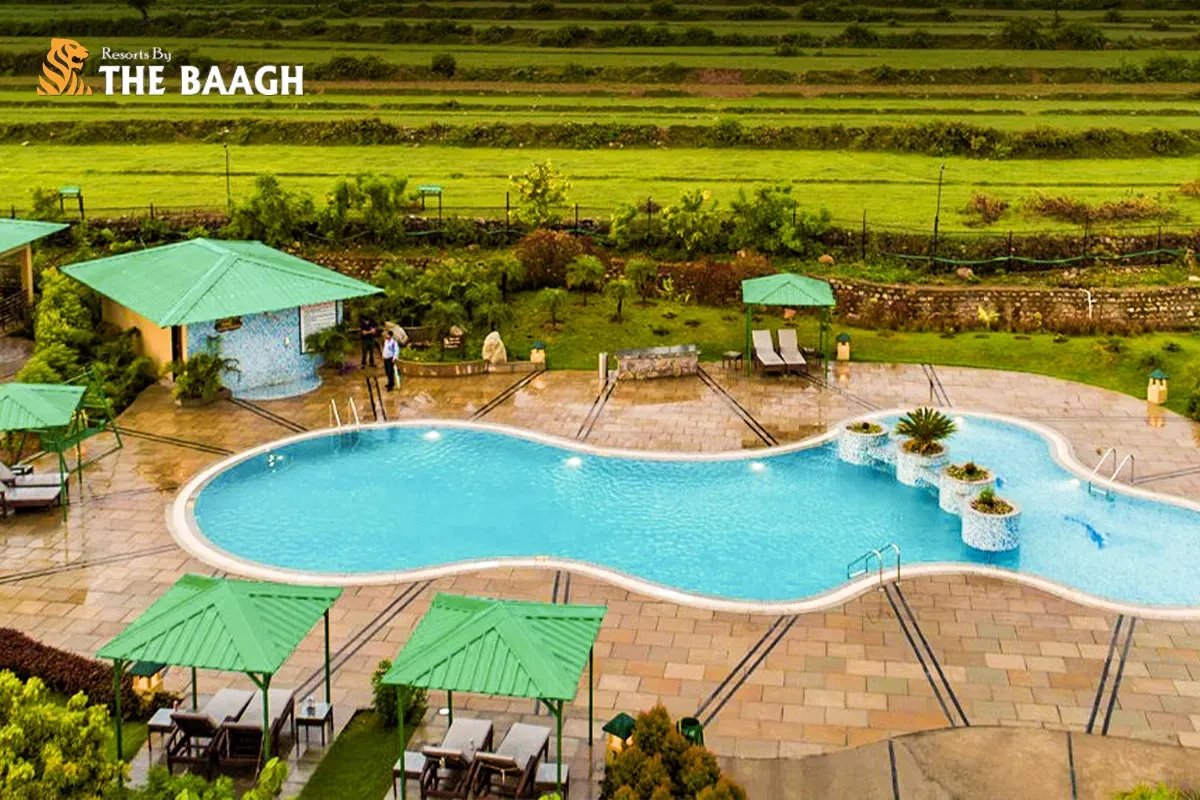 5 Hidden Perks of Staying in a Luxury Resort in Corbett vs. Standard Lodges