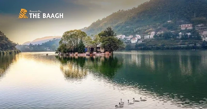 Top Lakeside Resorts in Bhimtal: A Dreamy Stay by the Water