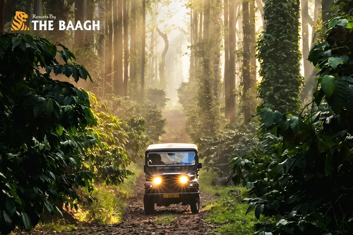A First-Timer's Complete Guide to Staying Inside Jim Corbett National Park