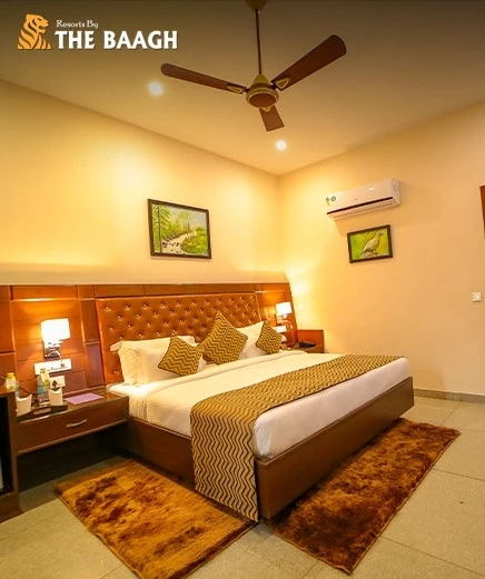 Top Resorts in Corbett Near Jungle Safari Zones: Location-Wise Stay Guide