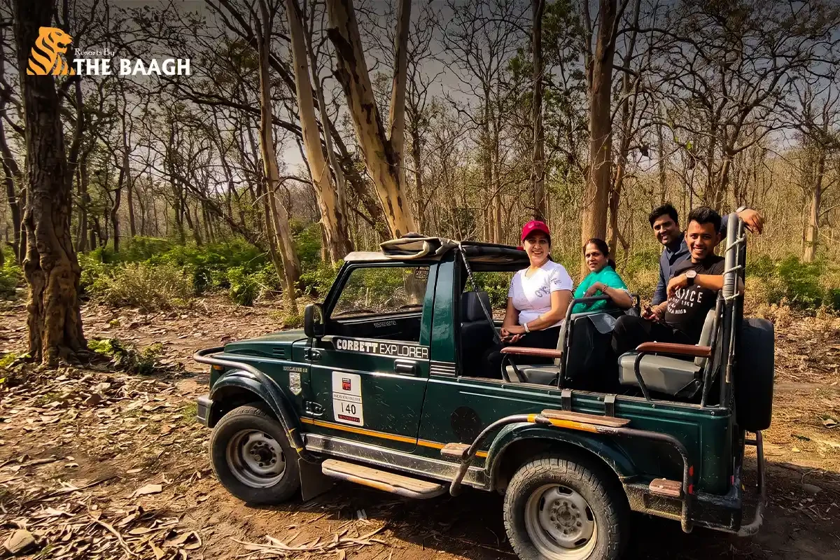Jim Corbett Packages Including Jeep Safari: Everything You Need to Know