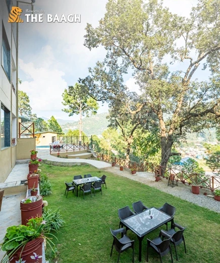 The Best Pet-Friendly Luxury Hotels in Bhimtal for 2025